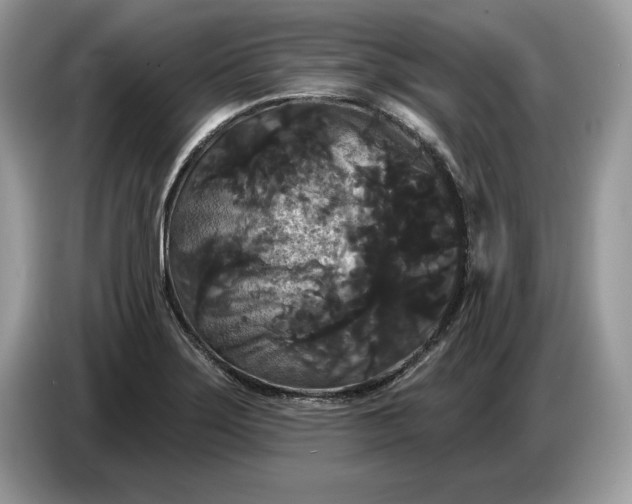 X0000086731275200704271623