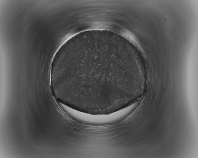 X0000086731276200704271623