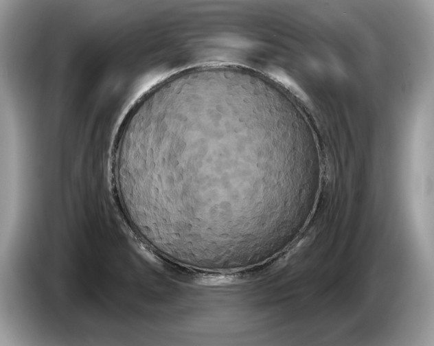 X0000086731278200704271623