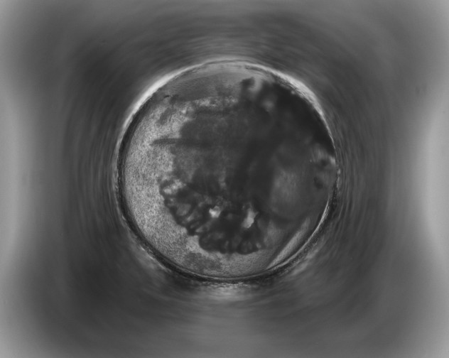 X0000086731279200704271623