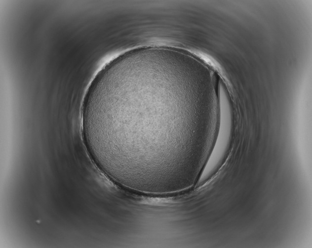 X0000086731280200704271623