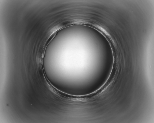 X0000086731281200704271623