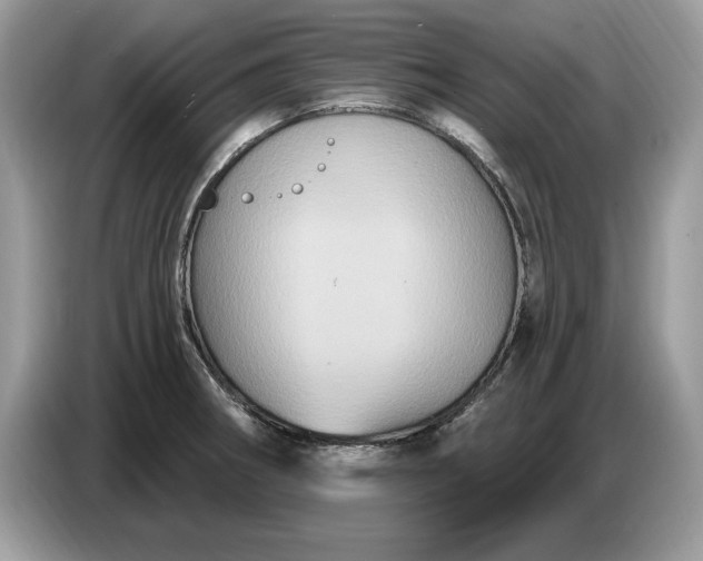 X0000086731282200704271623