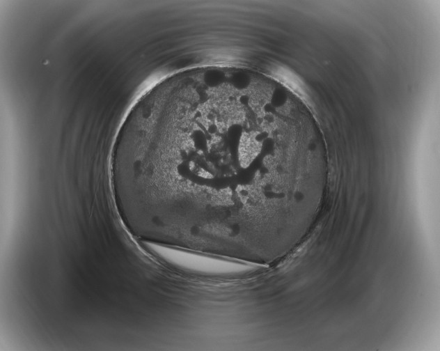 X0000086731283200704271623