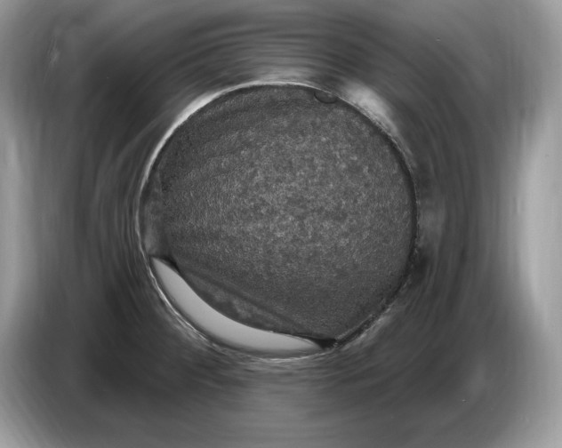 X0000086731284200704271623