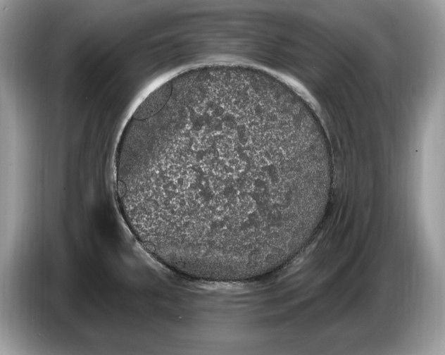 X0000086731287200704271623