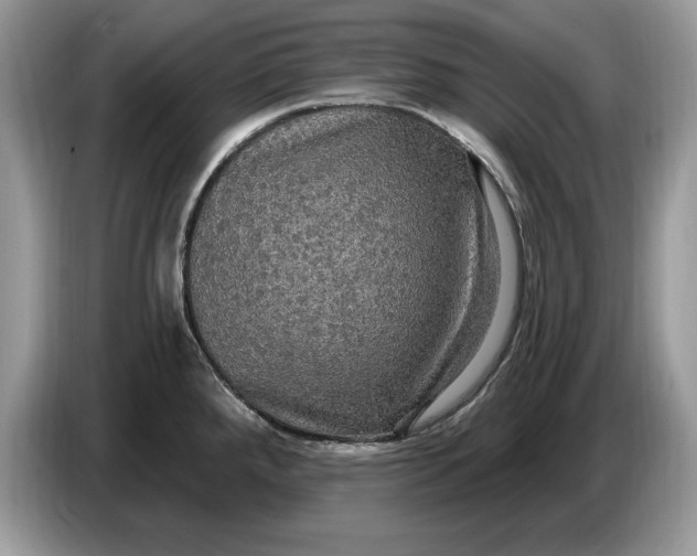 X0000086731288200704271623