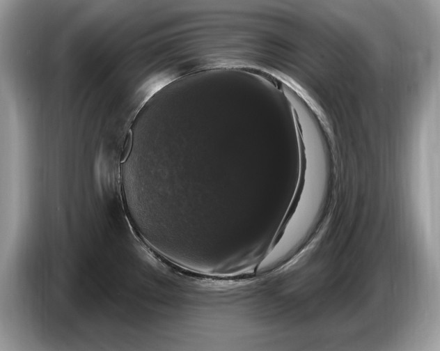 X0000086731289200704271623