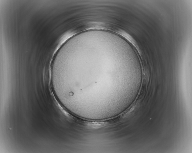 X0000086731290200704271623