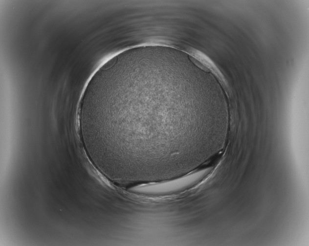 X0000086731292200704271623