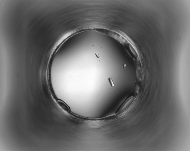 X0000086731293200704271623