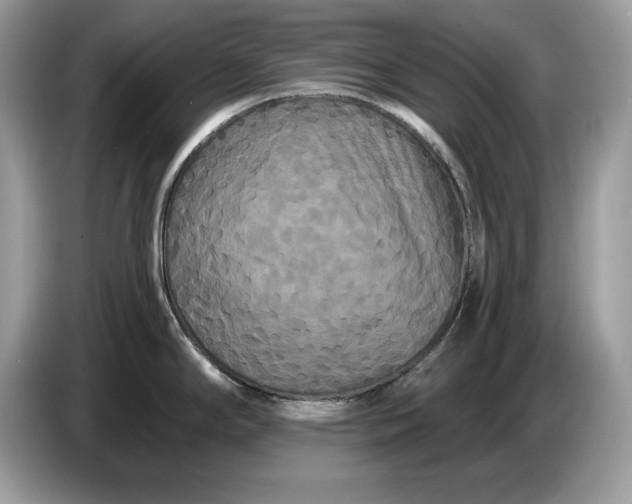 X0000086731294200704271623