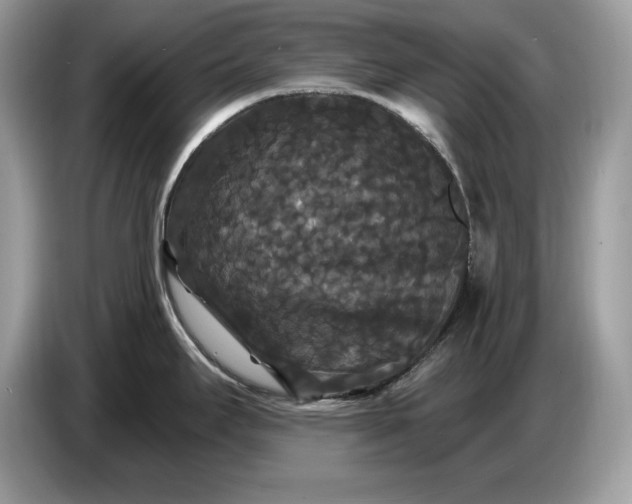 X0000086731295200704271623