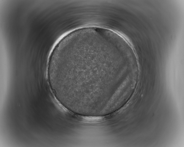 X0000086731296200704271623