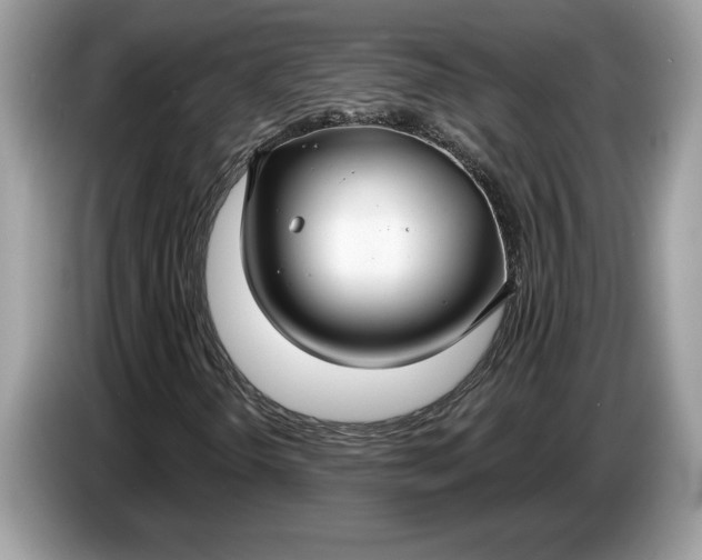 X0000086731298200704271622