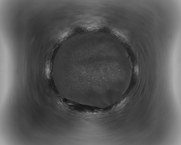 X0000086731300200704271622