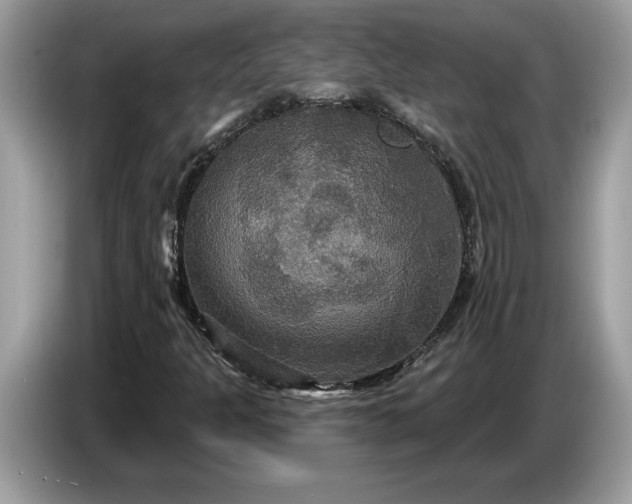 X0000086731301200704271622