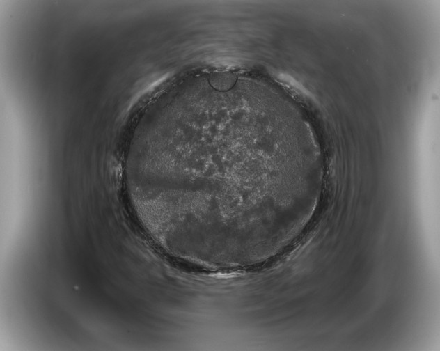 X0000086731302200704271622