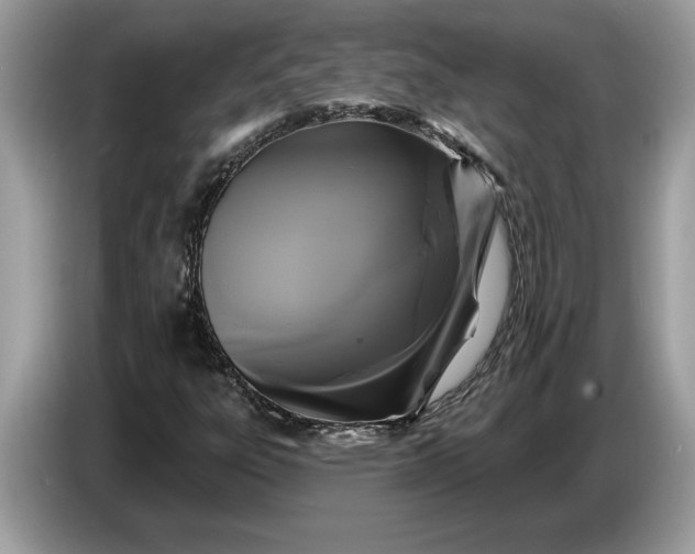 X0000086731303200704271622