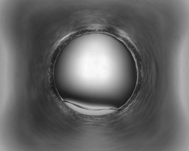 X0000086731304200704271622