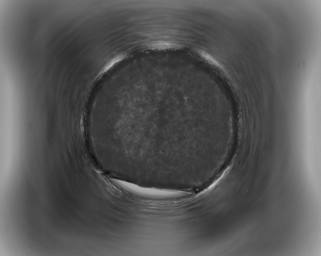 X0000086731305200704271622