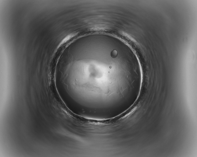 X0000086731306200704271622