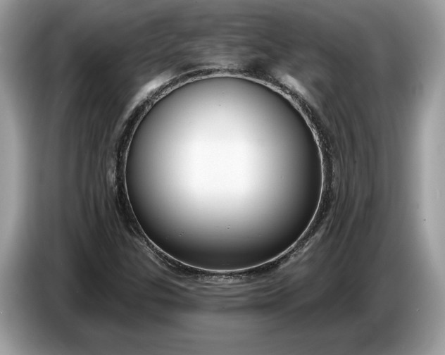 X0000086731307200704271622