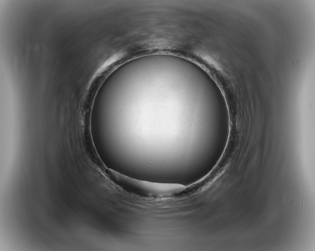 X0000086731309200704271622