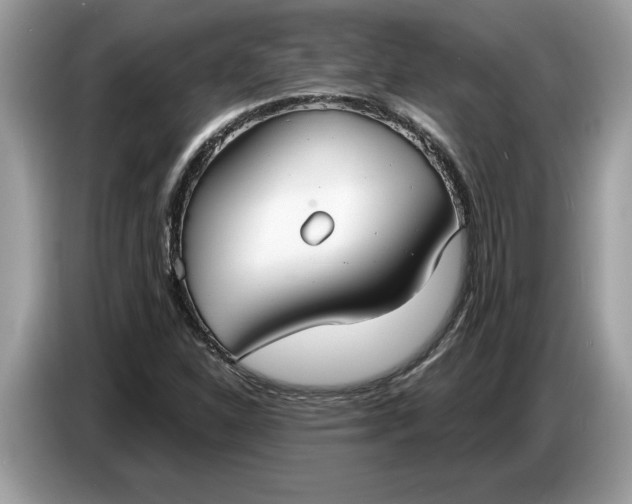 X0000086731310200704271622