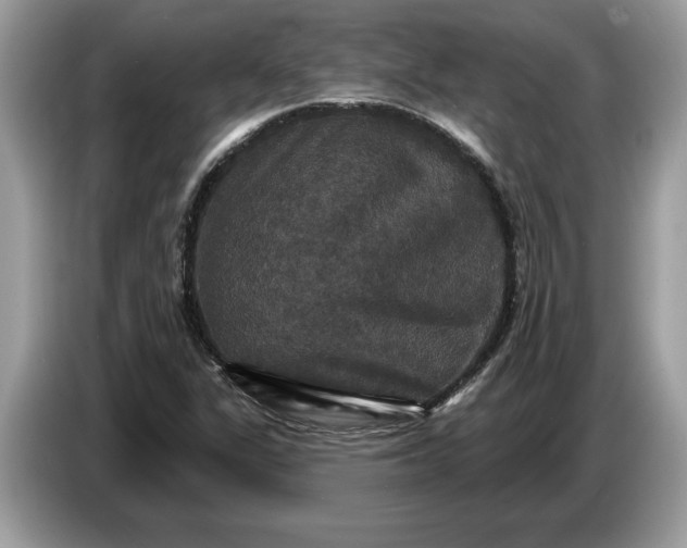 X0000086731311200704271622