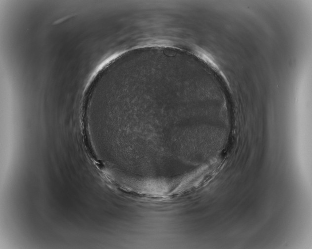 X0000086731312200704271622