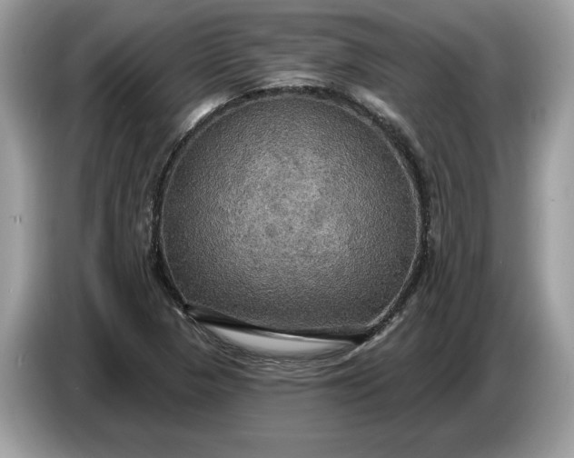 X0000086731313200704271622