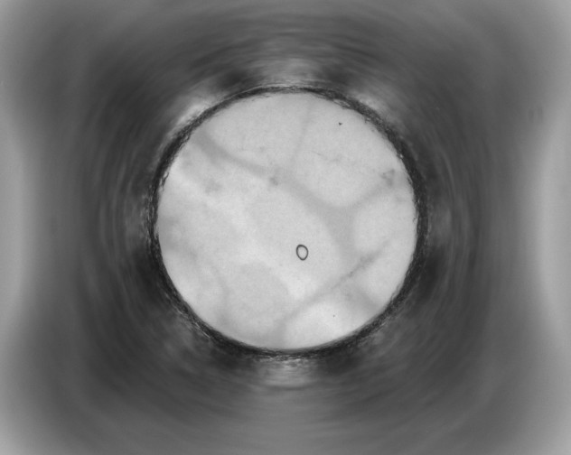 X0000086731314200704271622