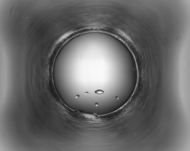 X0000086731315200704271622