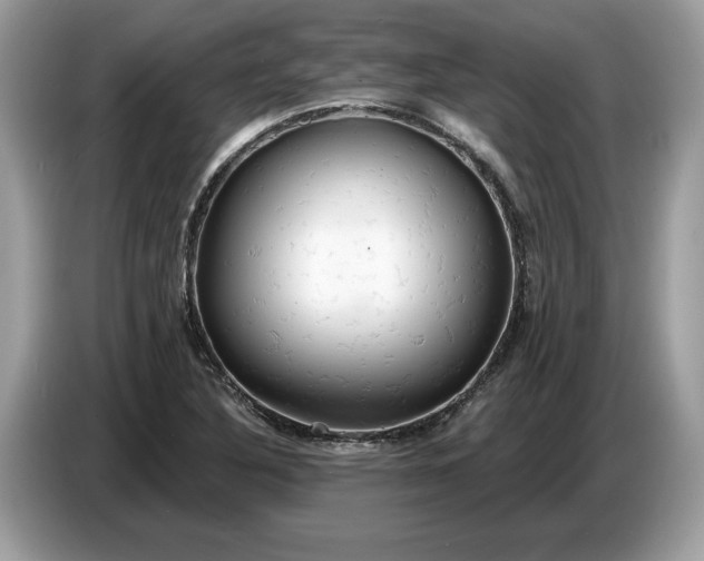 X0000086731316200704271623