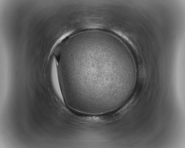 X0000086731317200704271623