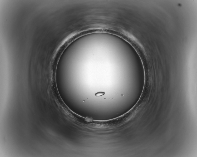 X0000086731318200704271623