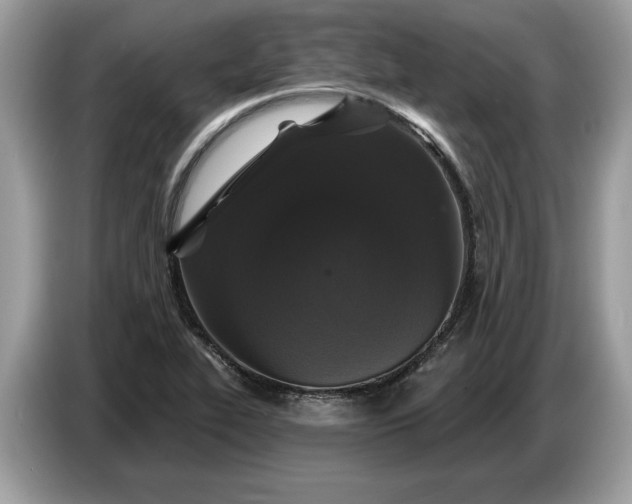 X0000086731319200704271623