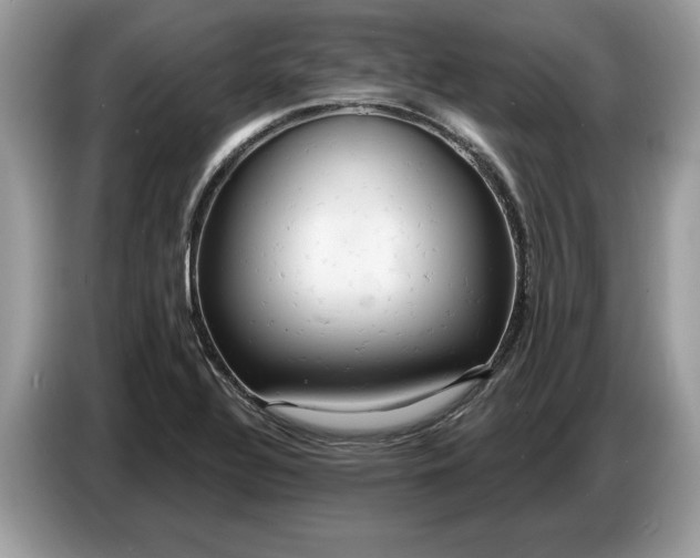 X0000086731320200704271623