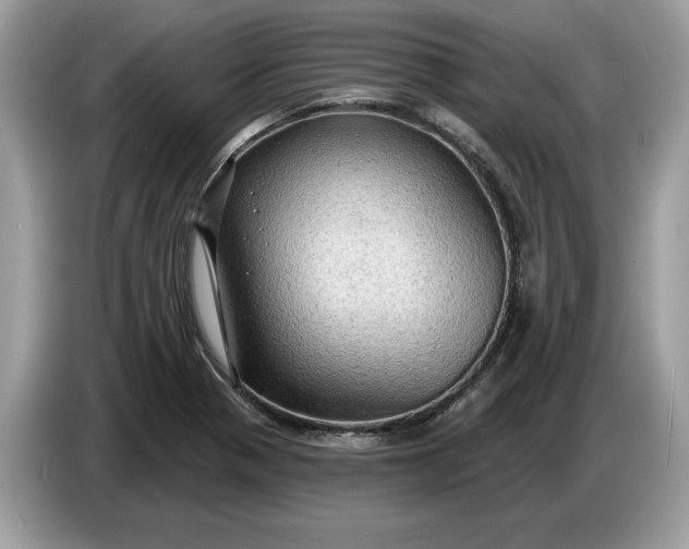 X0000086731321200704271623