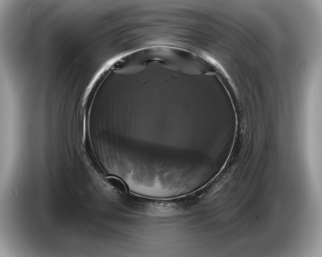 X0000086731323200704271623