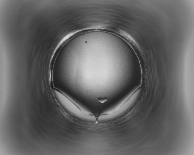 X0000086731324200704271623