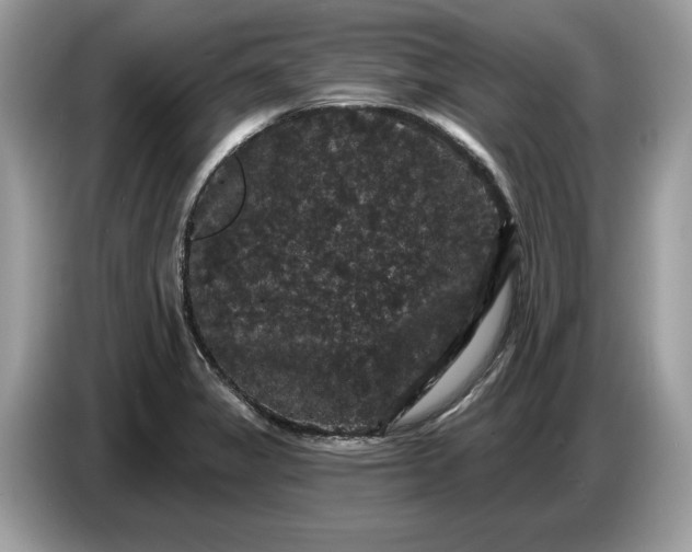 X0000086731325200704271623