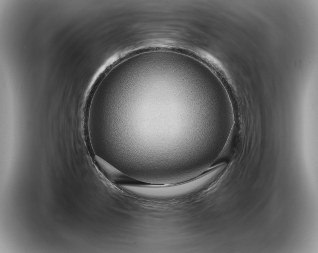 X0000086731326200704271623