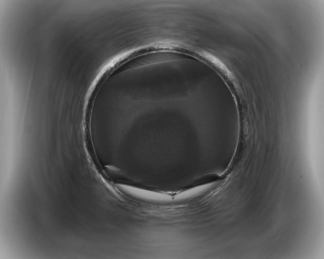 X0000086731327200704271623