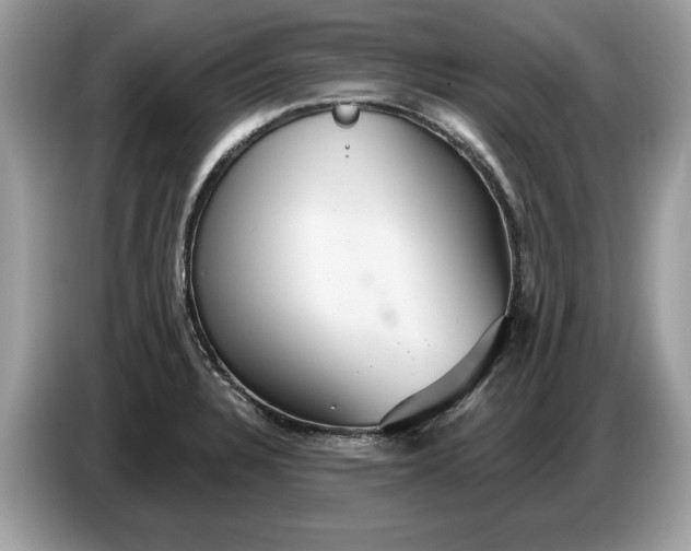 X0000086731328200704271623