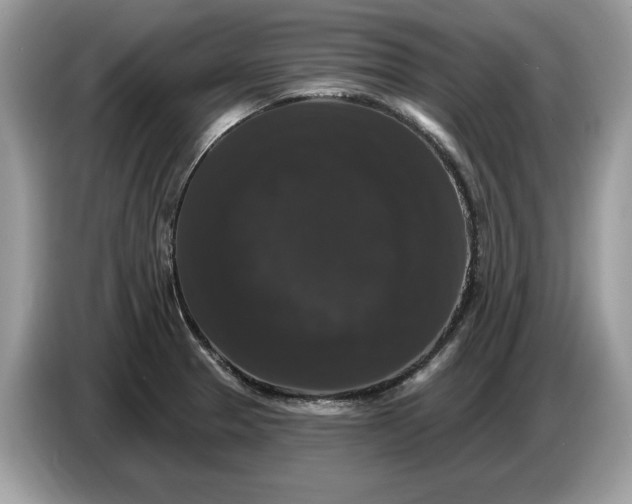 X0000086731329200704271623