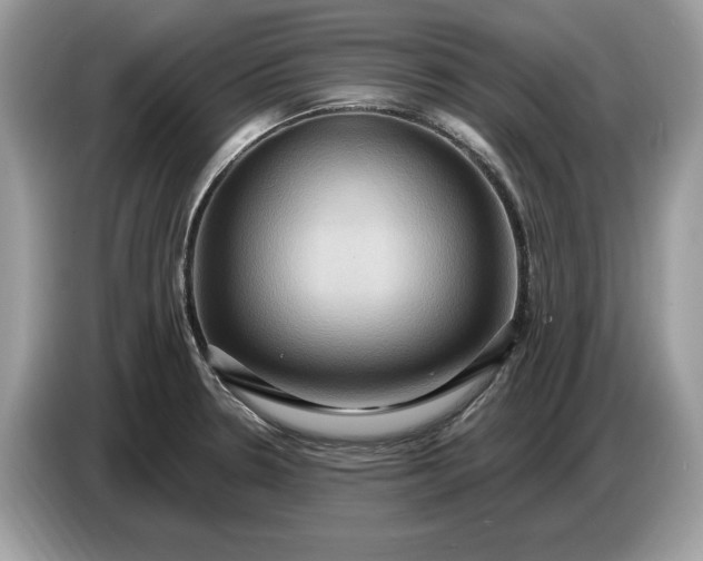 X0000086731330200704271623