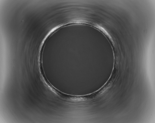 X0000086731331200704271623