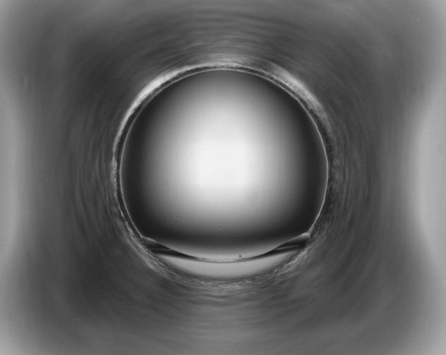 X0000086731332200704271623